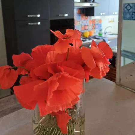 Simohouselecce 140 Sqm Luce In Piazza Palio A 50 Mt Fiere 레체