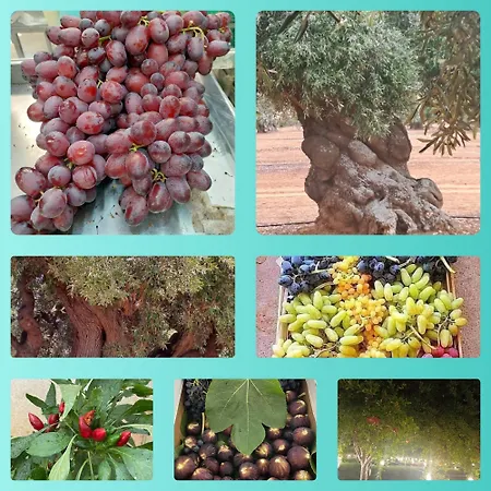 Apartamento Simo House