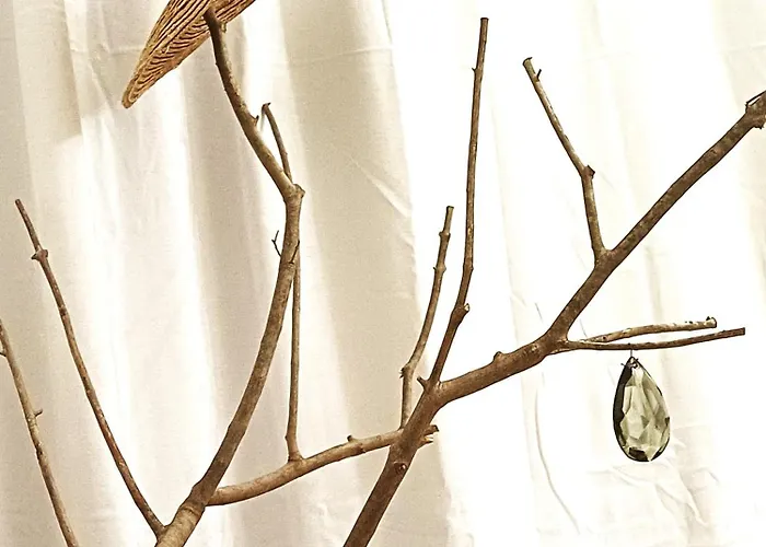 Simohouselecce 140 Sqm Luce In Piazza Palio A 50 Mt Biotech 레체